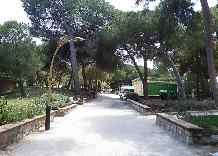 Center Bay T4 Apartman